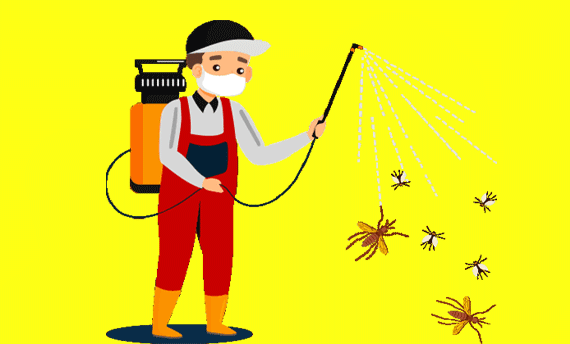 شركة مكافحة الحشرات بحريملاء